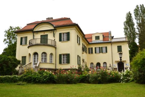 Bajor Gizi
